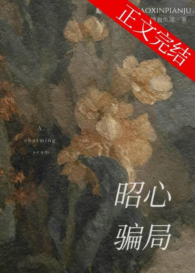 昭心骗局
