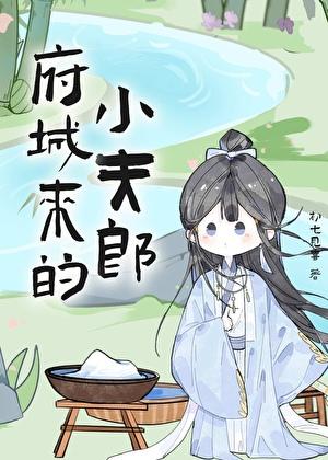 府城来的小夫郎