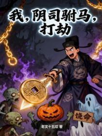 我，阴司驸马，打劫
