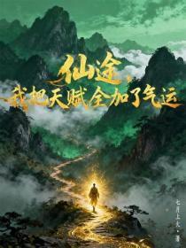 仙途，我把天赋全加了气运