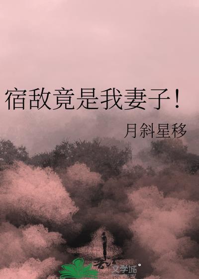 宿敌竟是我妻子！