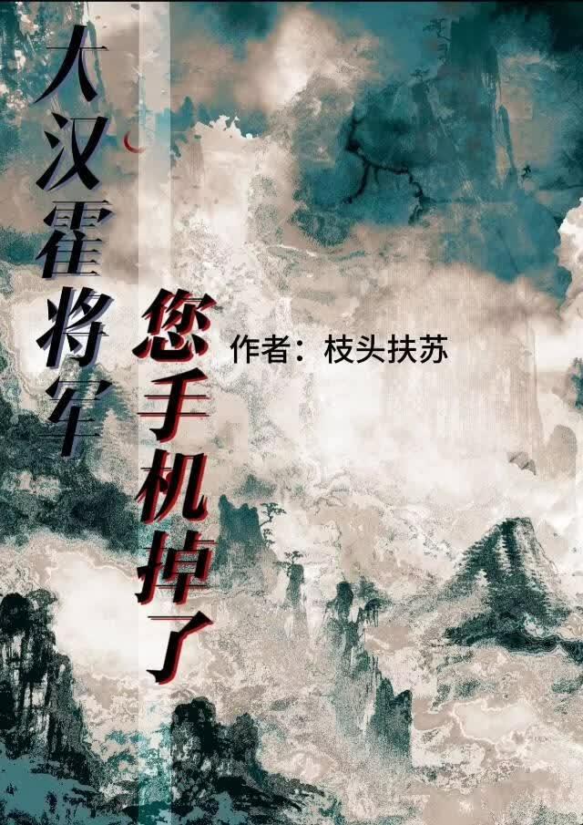 大汉霍将军,您手机掉了
