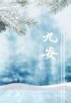 九安