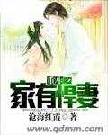 重生之家有悍妻